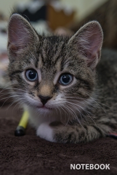 Notebook: Cat, Journal for Writing, College Ruled, Lined Notebook, Soft Cover, Matte, Size 6x 9 inches, 120 Pages