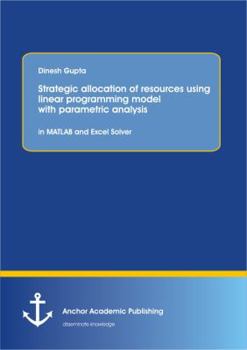 Paperback Strategic allocation of resources using linear programming model with parametric analysis: in MATLAB and Excel Solver: STRATEGIC ALLOCATION OF RESOURC Book