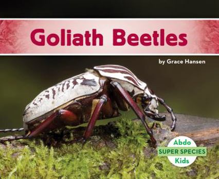 Library Binding Goliath Beetles Book