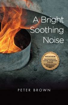 A Bright Soothing Noise - Book  of the Katherine Anne Porter Prize in Short Fiction
