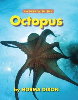 Hardcover In Deep with the Octopus Book