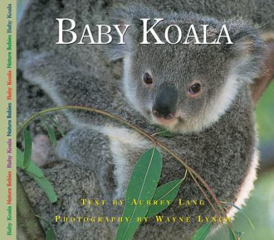 Baby Koala (Nature Babies) - Book  of the Nature Babies