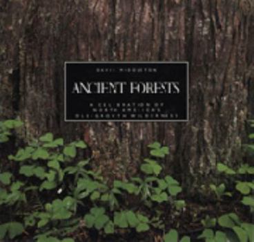 Paperback Ancient Forests Book
