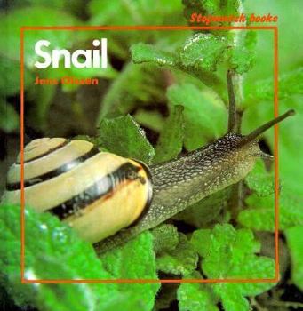 Hardcover Snail Book