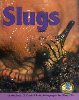 Hardcover Slugs Book