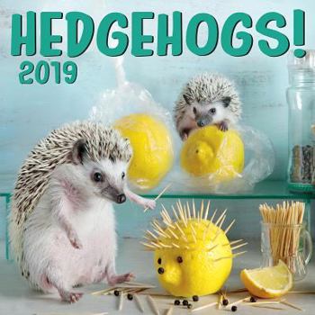 Calendar Cal 2019 Hedgehogs Book