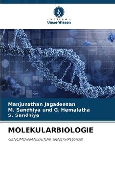 Paperback Molekularbiologie [German] Book