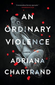 Paperback An Ordinary Violence Book