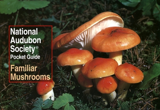 National Audubon Society Pocket Guide to Familiar Mushrooms (National Audubon Society Pocket Guide) - Book  of the National Audubon Society Pocket Guides