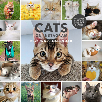 Calendar Cats on Instagram 2021 Wall Calendar: (monthly Calendar of Adorable Internet Kitties, Photos of Cute and Funny Cats in 12-Month Calendar) Book