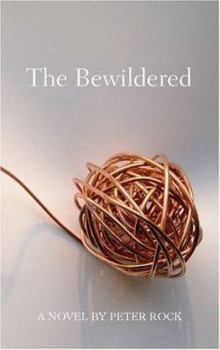 Hardcover The Bewildered Book