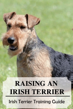 Raising An Irish Terrier: Irish Terrier Training Guide: Best Ways To Exercise Your Irish Terrier?