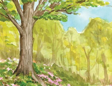 Misc. The Seasons Boxed Notecard Assortment Book