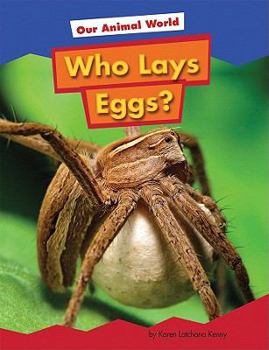 Library Binding Who Lays Eggs? Book