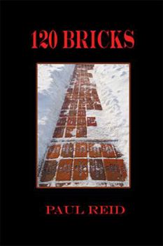 Hardcover 120 Bricks Book