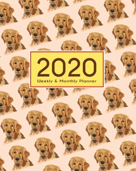 Paperback 2020 Planner Weekly & Monthly 8x10 Inch: Golden Dogs One Year Weekly and Monthly Planner + Calendar Views Book