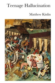Paperback Teenage Hallucination Book