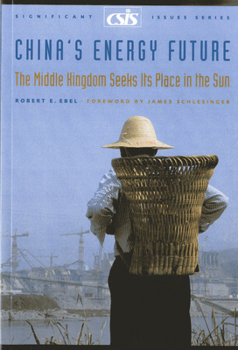 Paperback China's Energy Future: The Middle Kingdom Seeks Its Place in the Sun Book