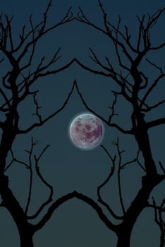 2020 Daily Planner Creepy Moonlight Tree Silhouette Halloween 388 Pages: 2020 Planners Calendars Organizers Datebooks Appointment Books Agendas