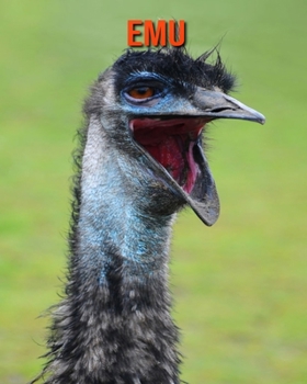 Emu: Amazing Facts & Pictures
