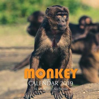 Paperback Monkey Calendar 2019: 16 Month Calendar Book