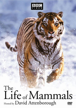 DVD The Life Of Mammals Set Book
