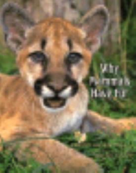 Hardcover Why Mammals Have Fur Book