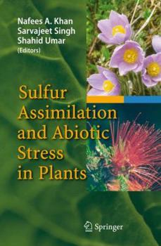 Paperback Sulfur Assimilation and Abiotic Stress in Plants Book
