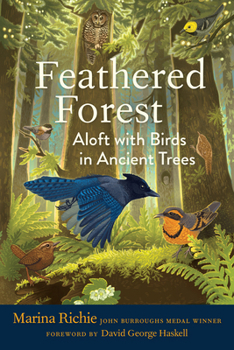 Hardcover Feathered Forest: Aloft with Birds in Ancient Trees Book
