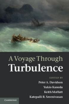 Paperback A Voyage Through Turbulence Book