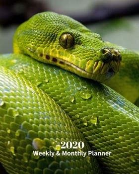 Paperback 2020 Weekly and Monthly Planner: Green Snake - Monthly Calendar with U.S./UK/ Canadian/Christian/Jewish/Muslim Holidays- Calendar in Review/Notes 8 x Book