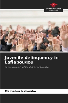 Paperback Juvenile delinquency in Lafiabougou Book