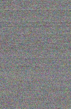 Paperback Katrina: A Children's Book