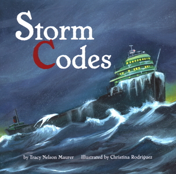 Hardcover Storm Codes Book