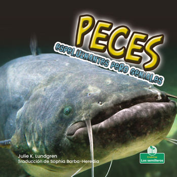 Library Binding Peces Espeluznantes Pero Geniales (Creepy But Cool Fish) [Spanish] Book