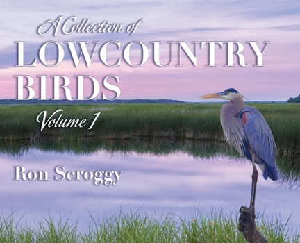 Hardcover A Collection of Lowcountry Birds Book