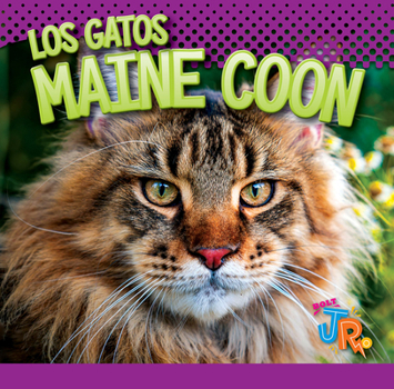 Library Binding Los Gatos Maine Coon [Spanish] Book