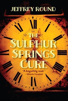 Paperback The Sulphur Springs Cure Book