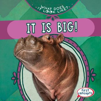 Paperback It Is Big! Book