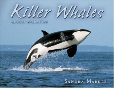 Paperback Killer Whales (Animal Predators) Book