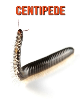 Paperback Centipede: Amazing Facts about Centipede Book