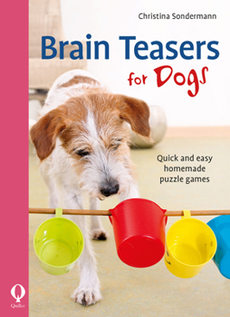 Paperback Brain Teasers for Dogs: Quick and Easy Homemade Puzzle Games Book