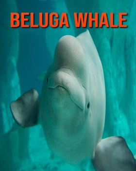 Paperback Beluga Whale: Learn About Beluga Whale and Enjoy Colorful Pictures Book