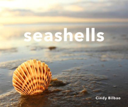 Hardcover Seashells Book
