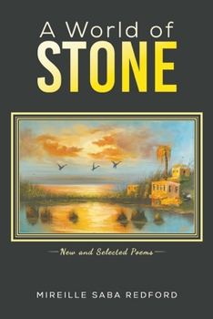 Paperback A World of Stone Book