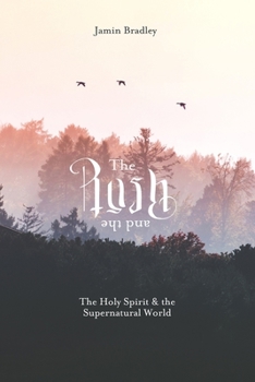 Paperback The Rush and the Rest: The Holy Spirit & the Supernatural World Book