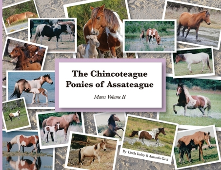 The Chincoteague Ponies of Assateague: Volume II Mares