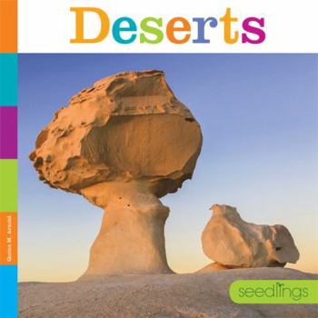 Paperback Deserts Book