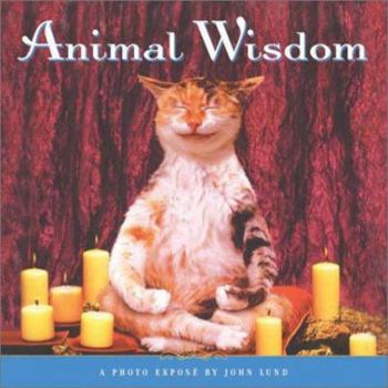 Hardcover Animal Wisdom: More Animal Antics from John Lund Book