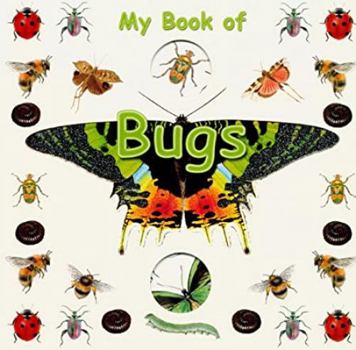 Board book My Book of Bugs (Board Book) Book